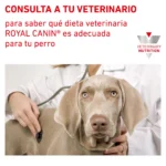 Royal Canin DIABETIC CANINE 10.1 KG - Imagen 3