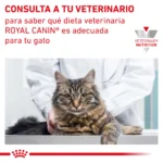 Royal Canin Gastrointestinal Feline in Gravy (Pouch 85 g) - Imagen 3