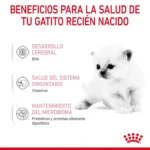 Royal Canin BABY CAT MILK 0.3KG - Imagen 3