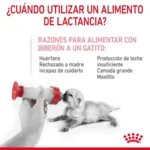 Royal Canin BABY CAT MILK 0.3KG - Imagen 4
