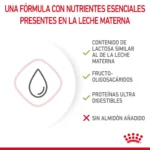 Royal Canin BABY CAT MILK 0.3KG - Imagen 6