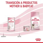 Royal Canin BABY CAT MILK 0.3KG - Imagen 9