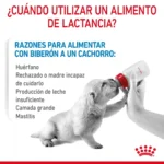 BABY DOG MILK 0.4KG - Imagen 5