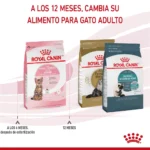 Royal Canin KITTEN STERILISED 400G - Imagen 5