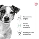 Royal Canin MINI ADULTO 2.5KG - Imagen 7