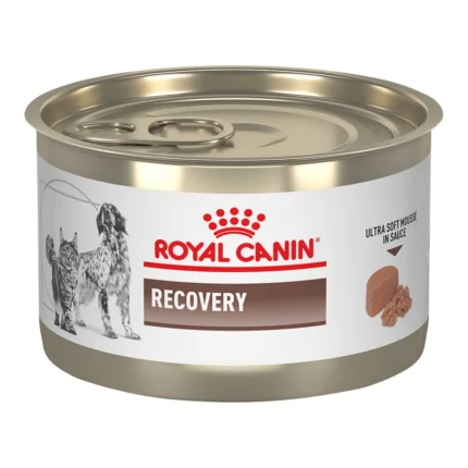 Royal Canin Recovery Canine/Feline (lata)