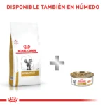 Royal Canin Urinary S/O Feline 1.5 kg - Imagen 6