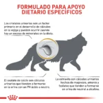 Royal Canin Urinary S/O Feline 1.5 kg - Imagen 7