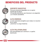 Royal Canin Gastrointestinal Feline in Gravy (Pouch 85 g) - Imagen 4