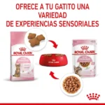Royal Canin KITTEN STERILISED POUCH - Imagen 6